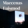 book 05